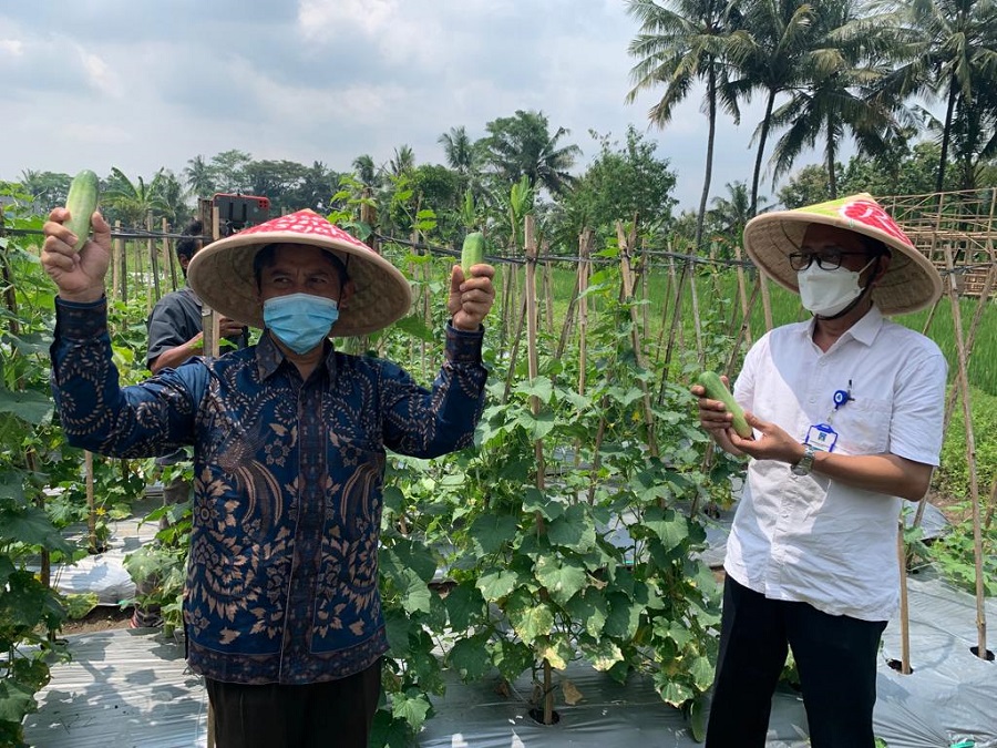 Tim Riset UPY Luncurkan Tanaman Ramah Lingkungan Berbasis IoT